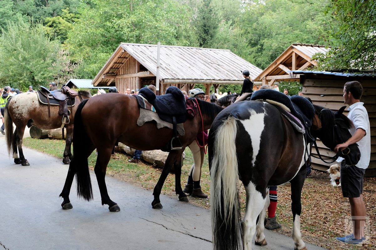 11.08.2018_Editpress_453180