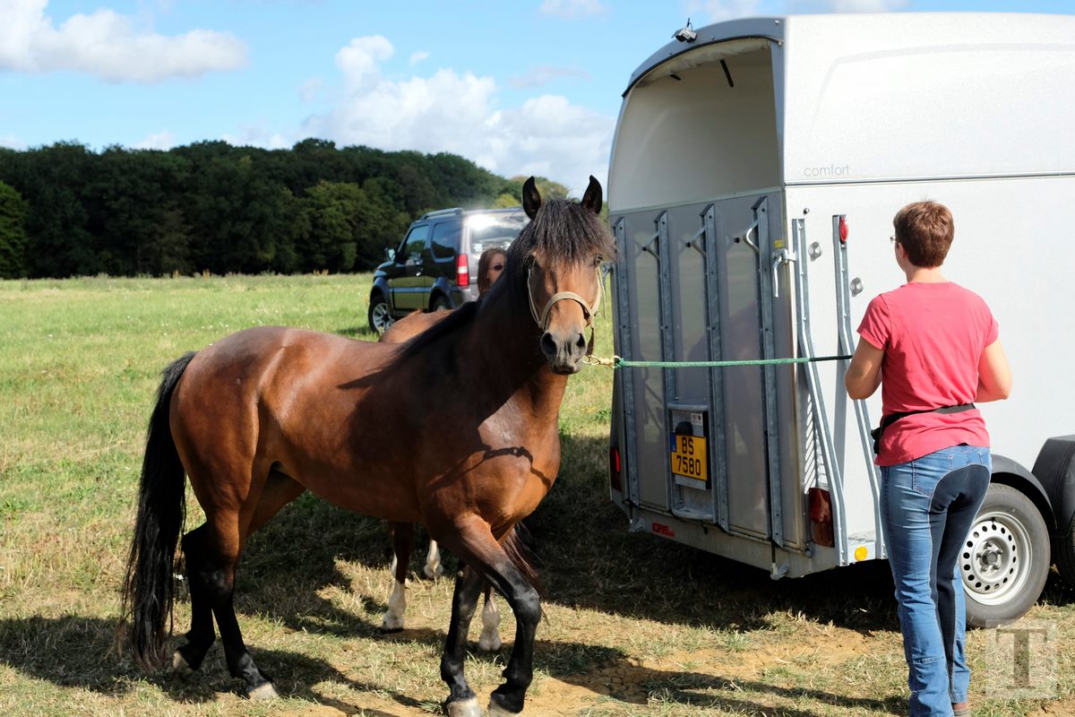 11.08.2018_Editpress_453238