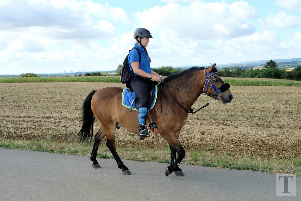 11.08.2018_Editpress_453247