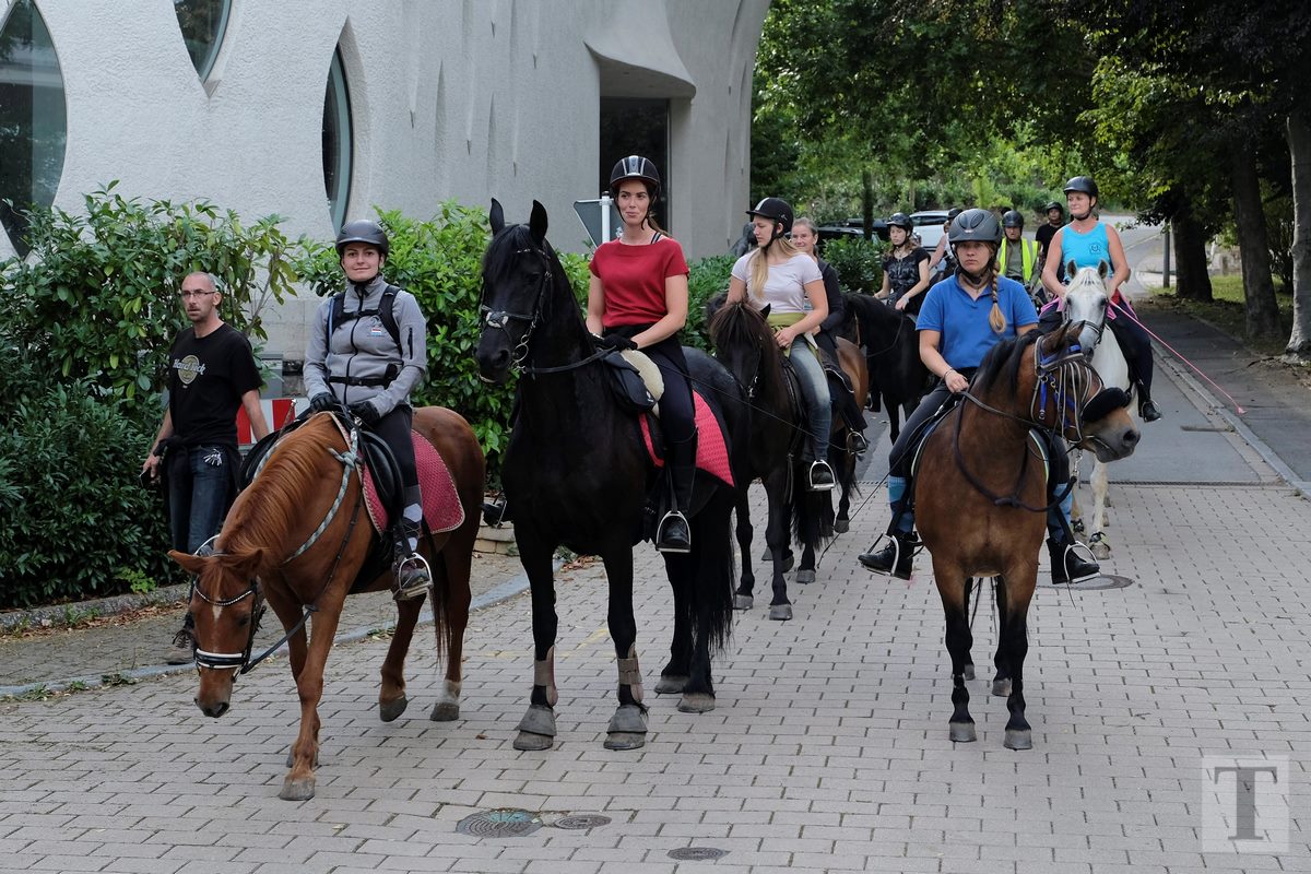 11.08.2018_Editpress_453268