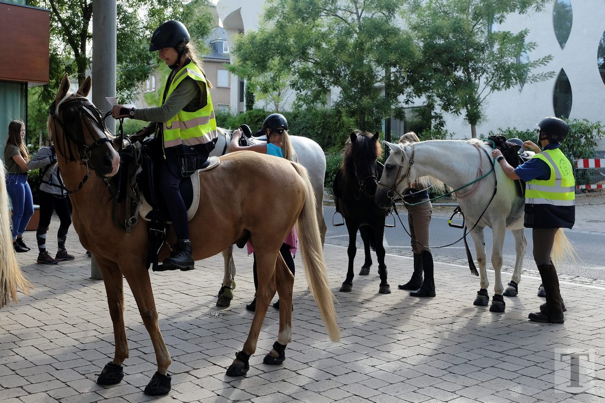 11.08.2018_Editpress_453272