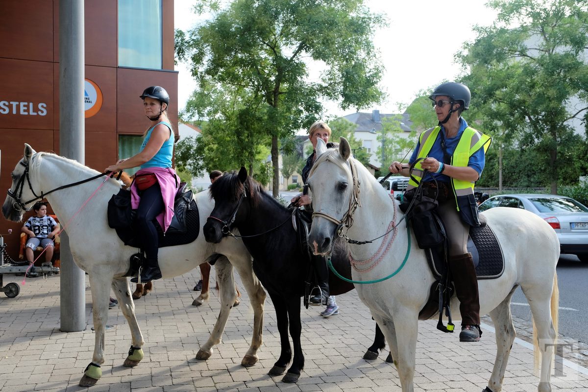 11.08.2018_Editpress_453273