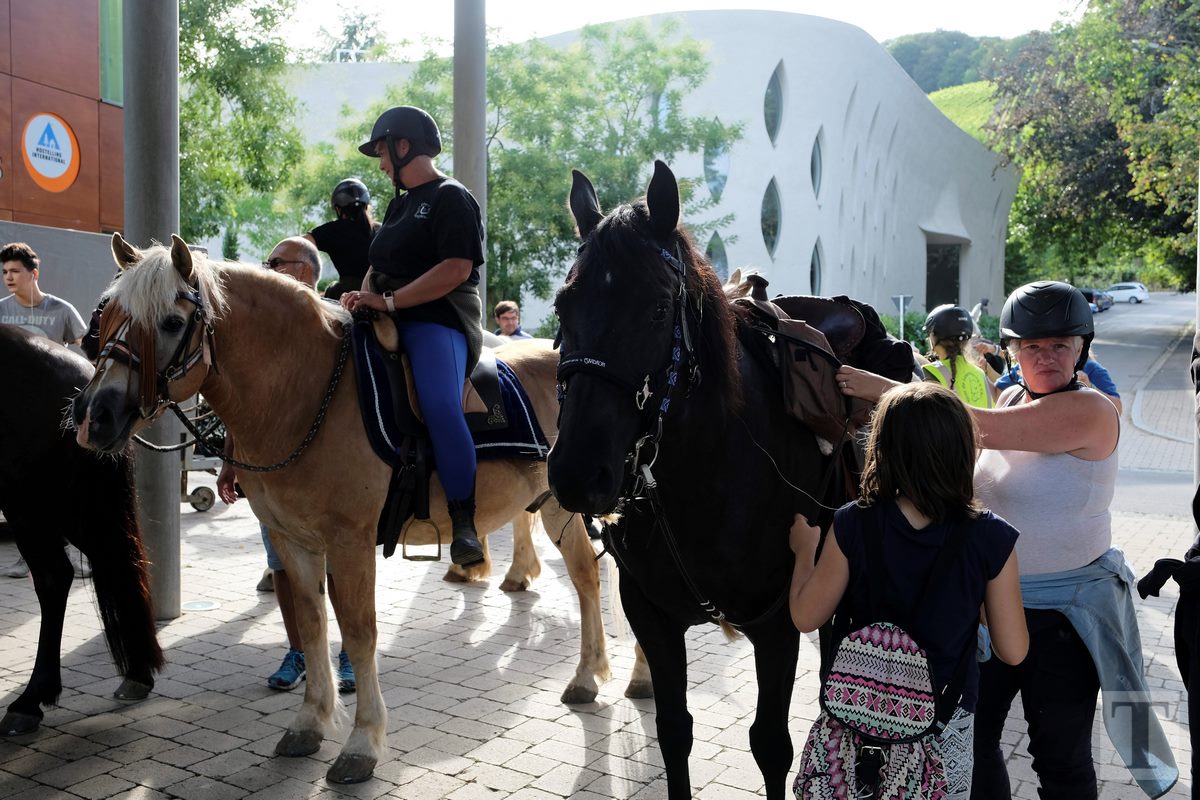 11.08.2018_Editpress_453275