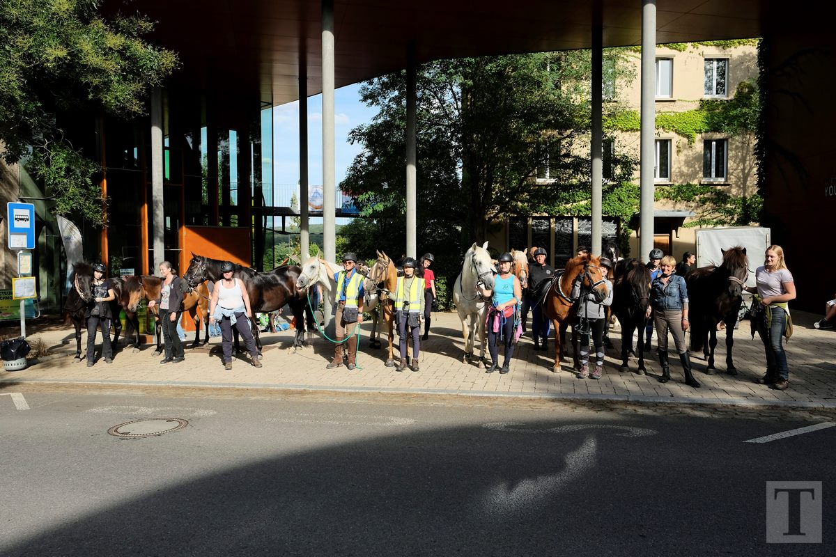 11.08.2018_Editpress_453284