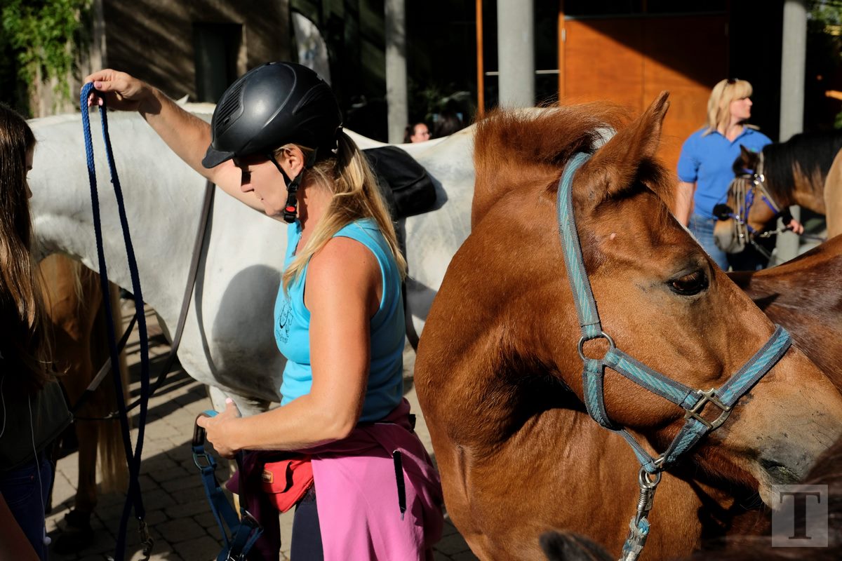 11.08.2018_Editpress_453285