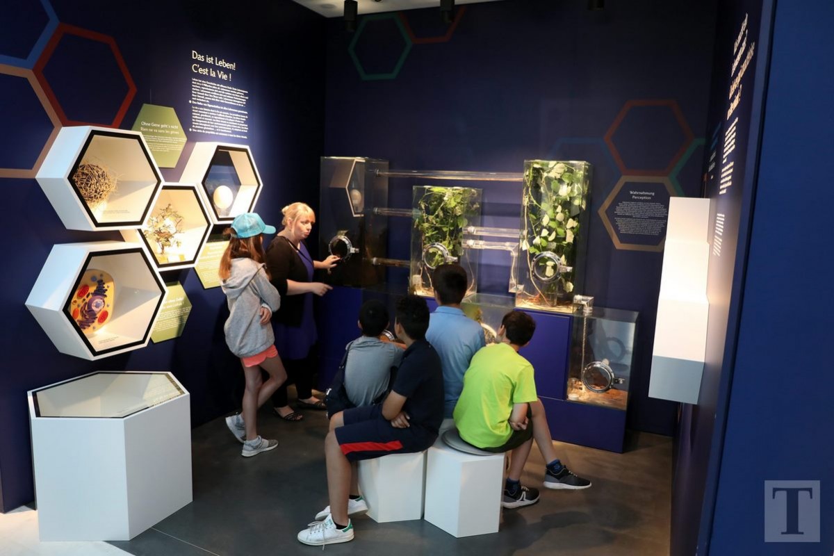 19.07.2018_Editpress_450170