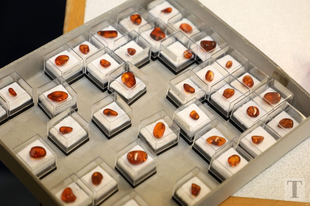 19.07.2018_Editpress_450171