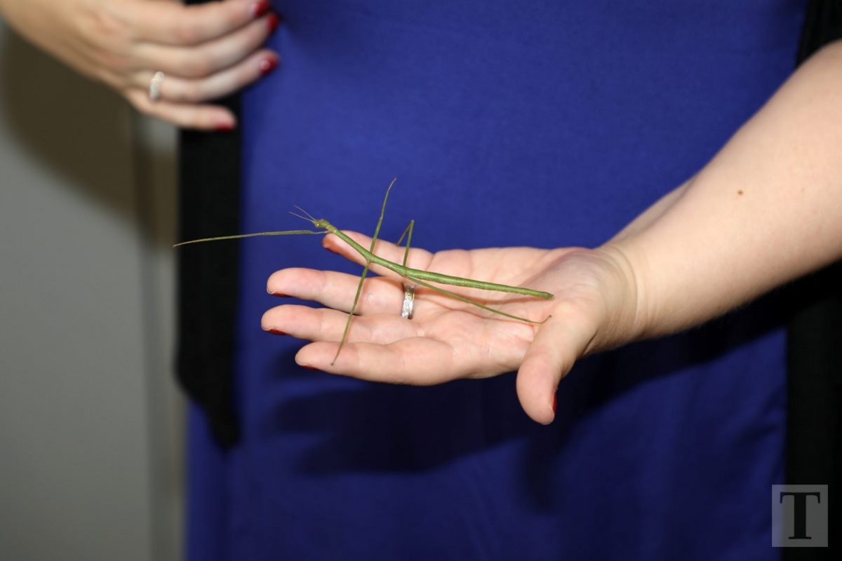 19.07.2018_Editpress_450172