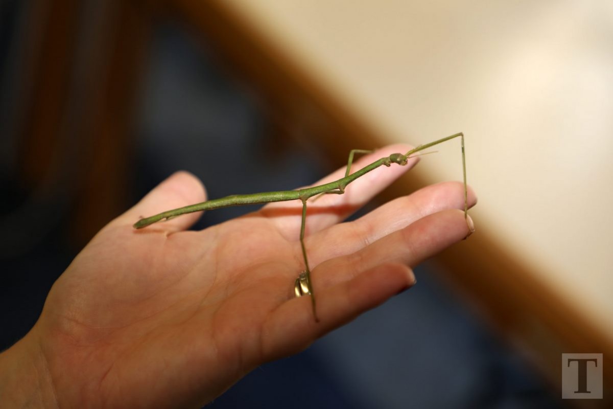 19.07.2018_Editpress_450173