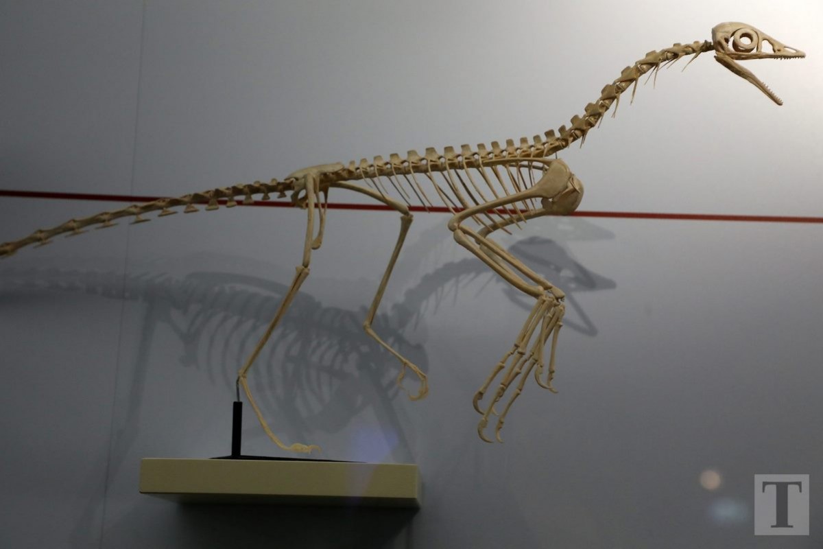 19.07.2018_Editpress_450174