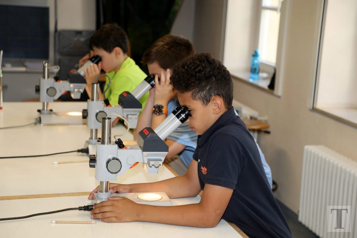 19.07.2018_Editpress_450175