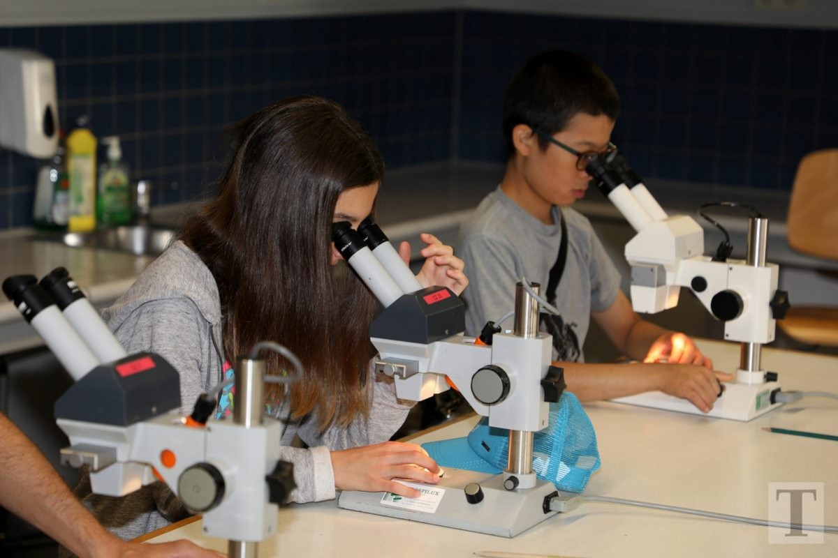 19.07.2018_Editpress_450176