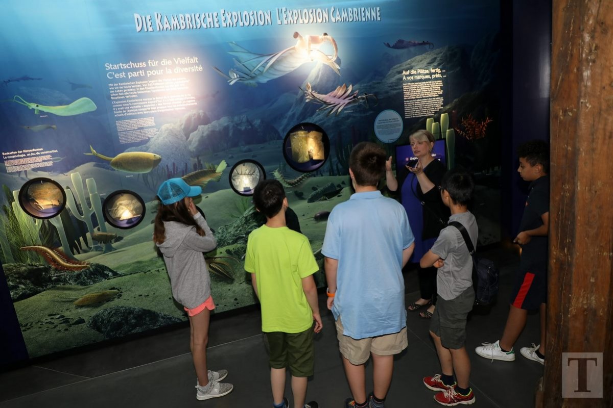 19.07.2018_Editpress_450177