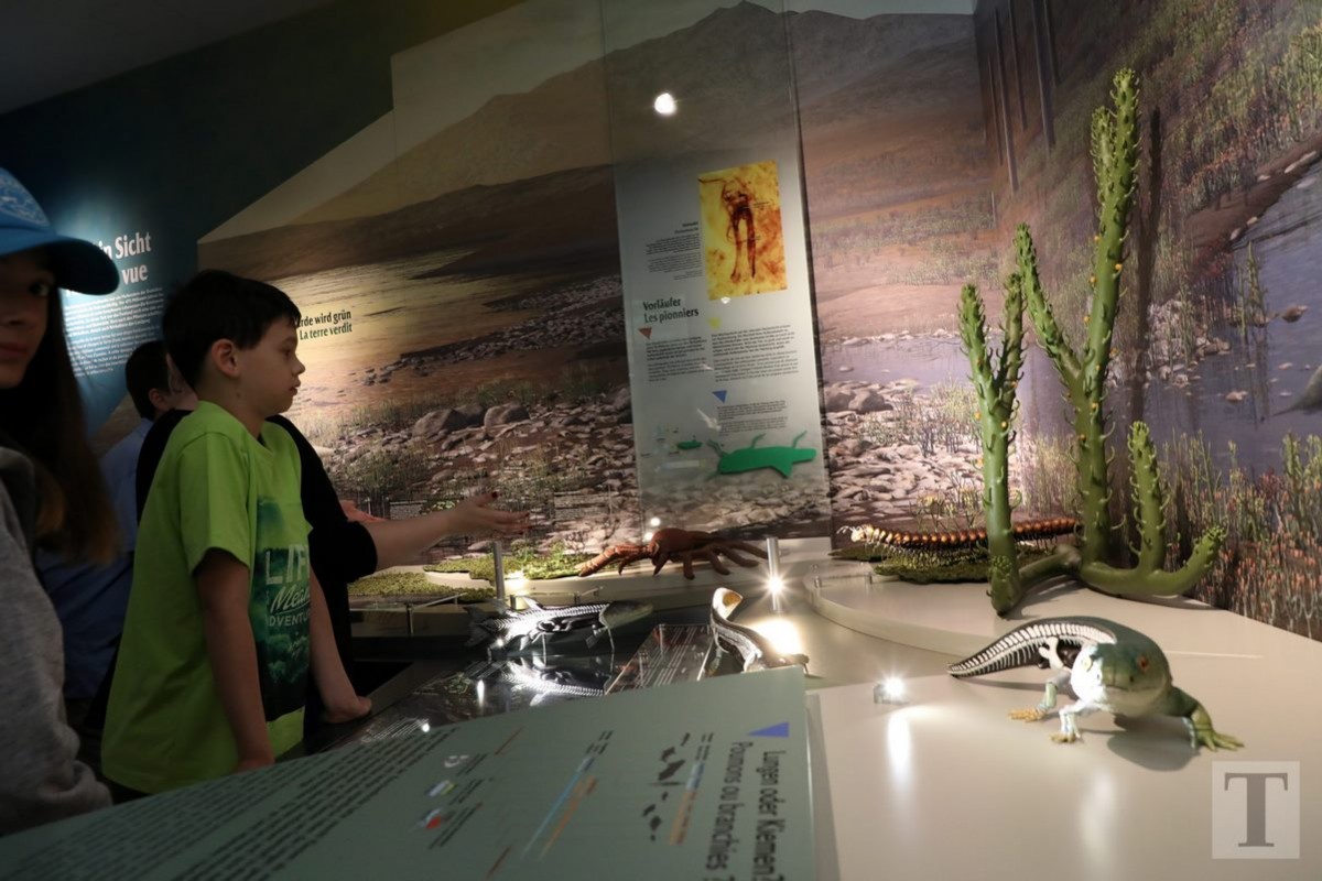 19.07.2018_Editpress_450179