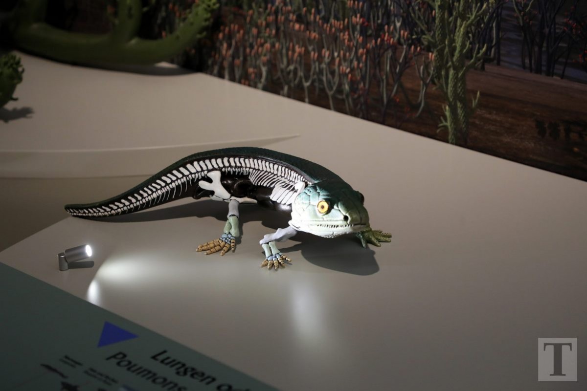 19.07.2018_Editpress_450180