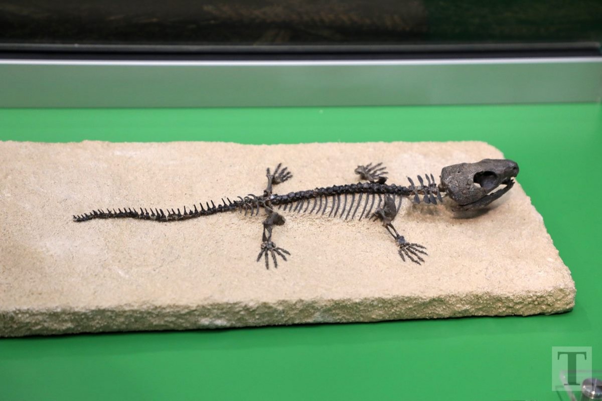 19.07.2018_Editpress_450181