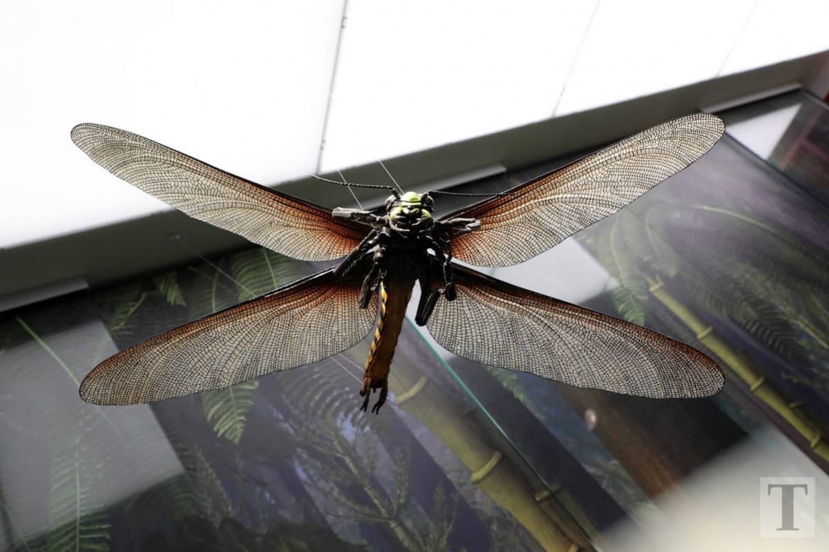 19.07.2018_Editpress_450182