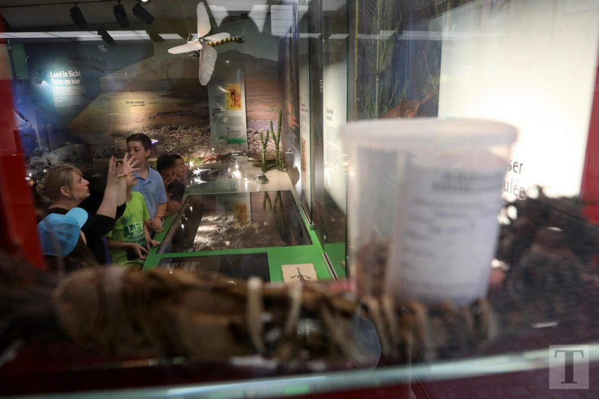 19.07.2018_Editpress_450183