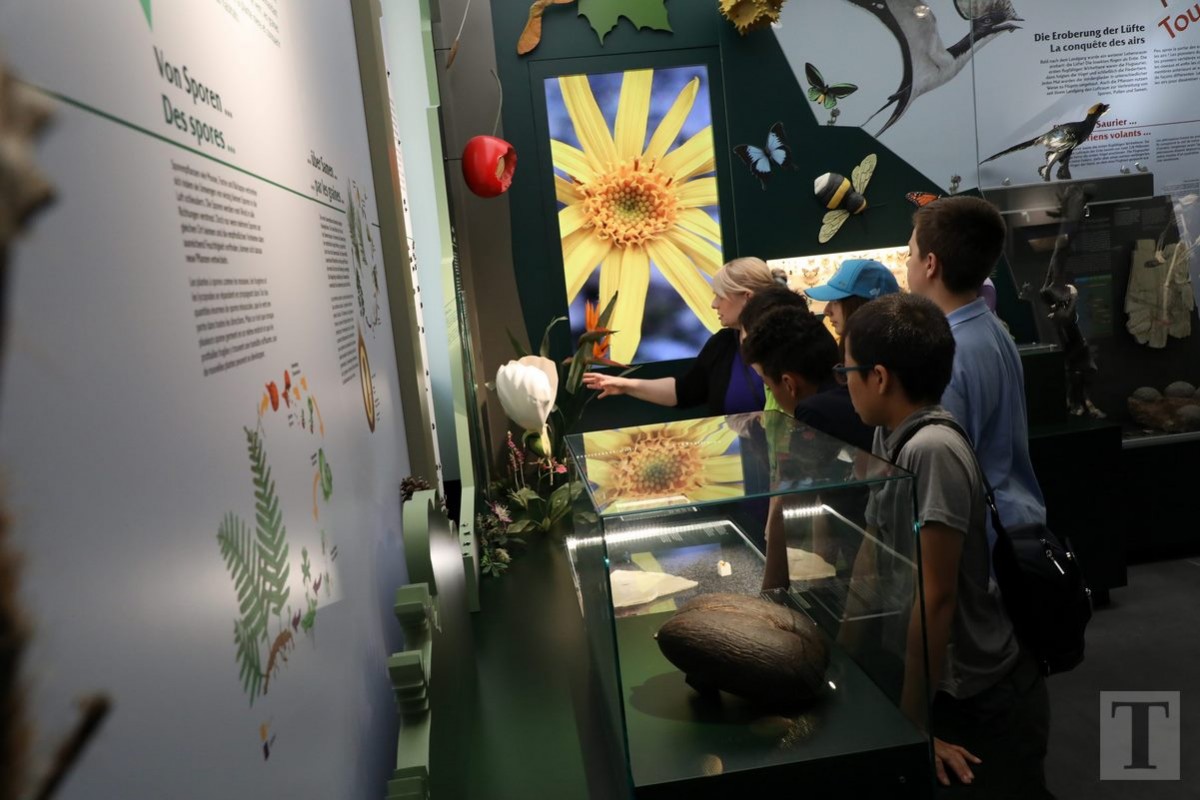 19.07.2018_Editpress_450184