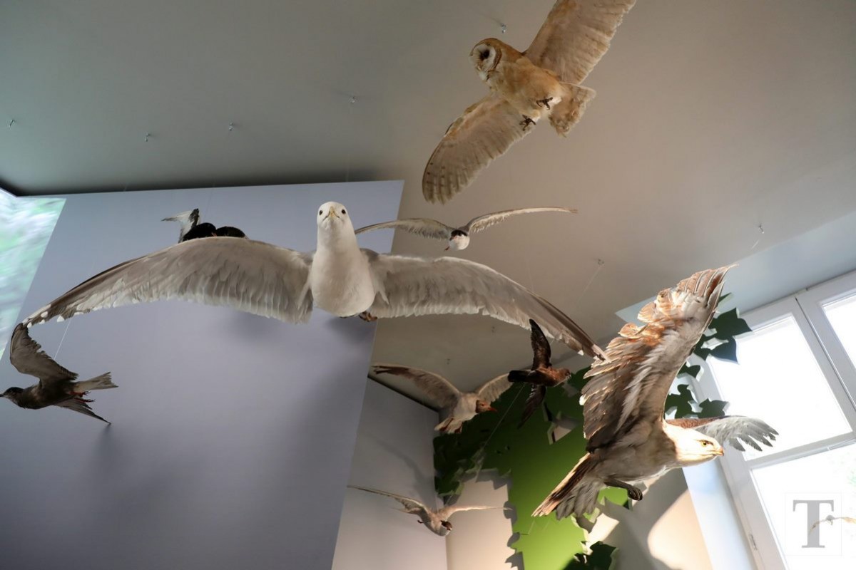 19.07.2018_Editpress_450185