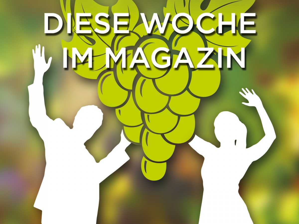 Botschafter des Weins