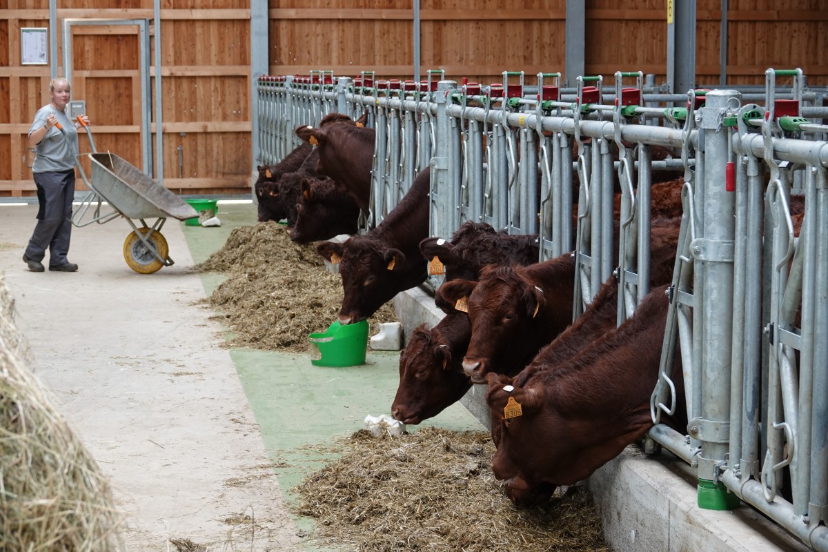 20180822 S Apemh Limpach François Besch 05
