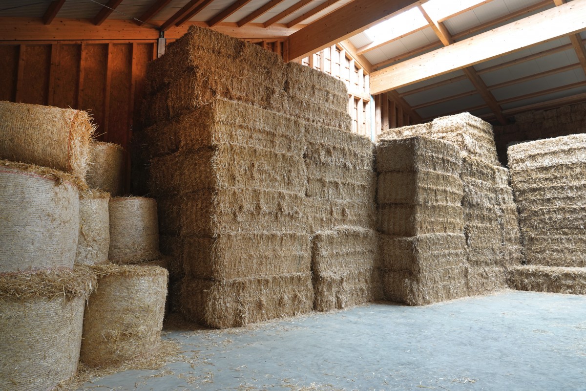 20180822 S Apemh Limpach François Besch 06