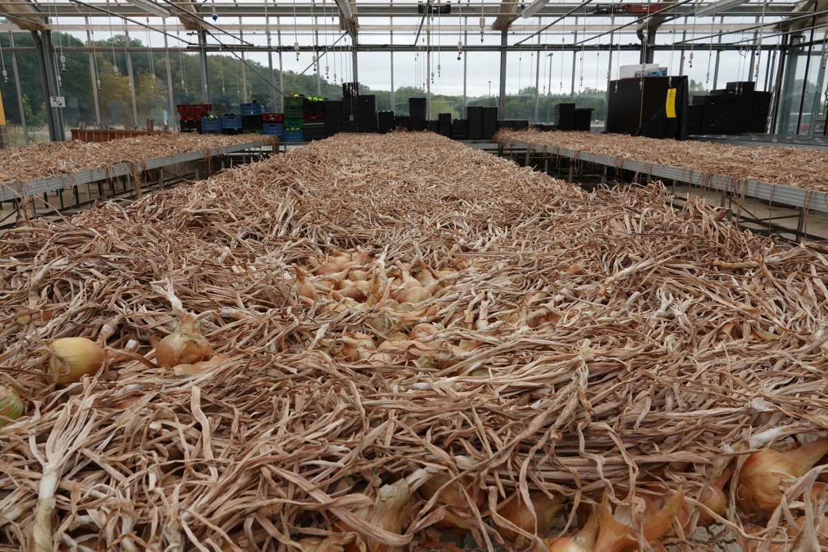 20180822 S Apemh Limpach François Besch 10