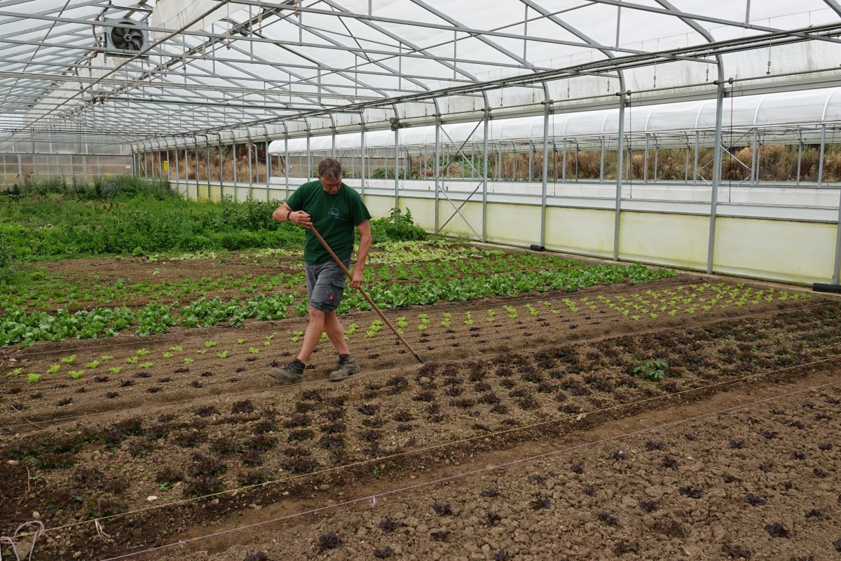 20180822 S Apemh Limpach François Besch 16
