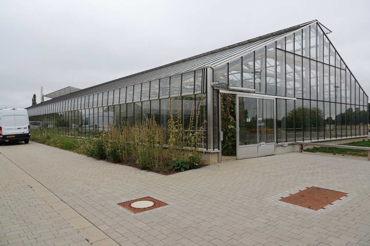 20180822 S Apemh Limpach François Besch 19