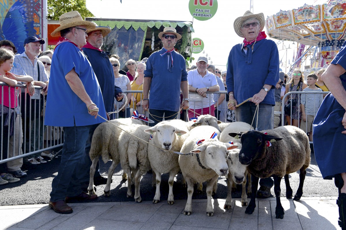 23.08.2018_Editpress_454606