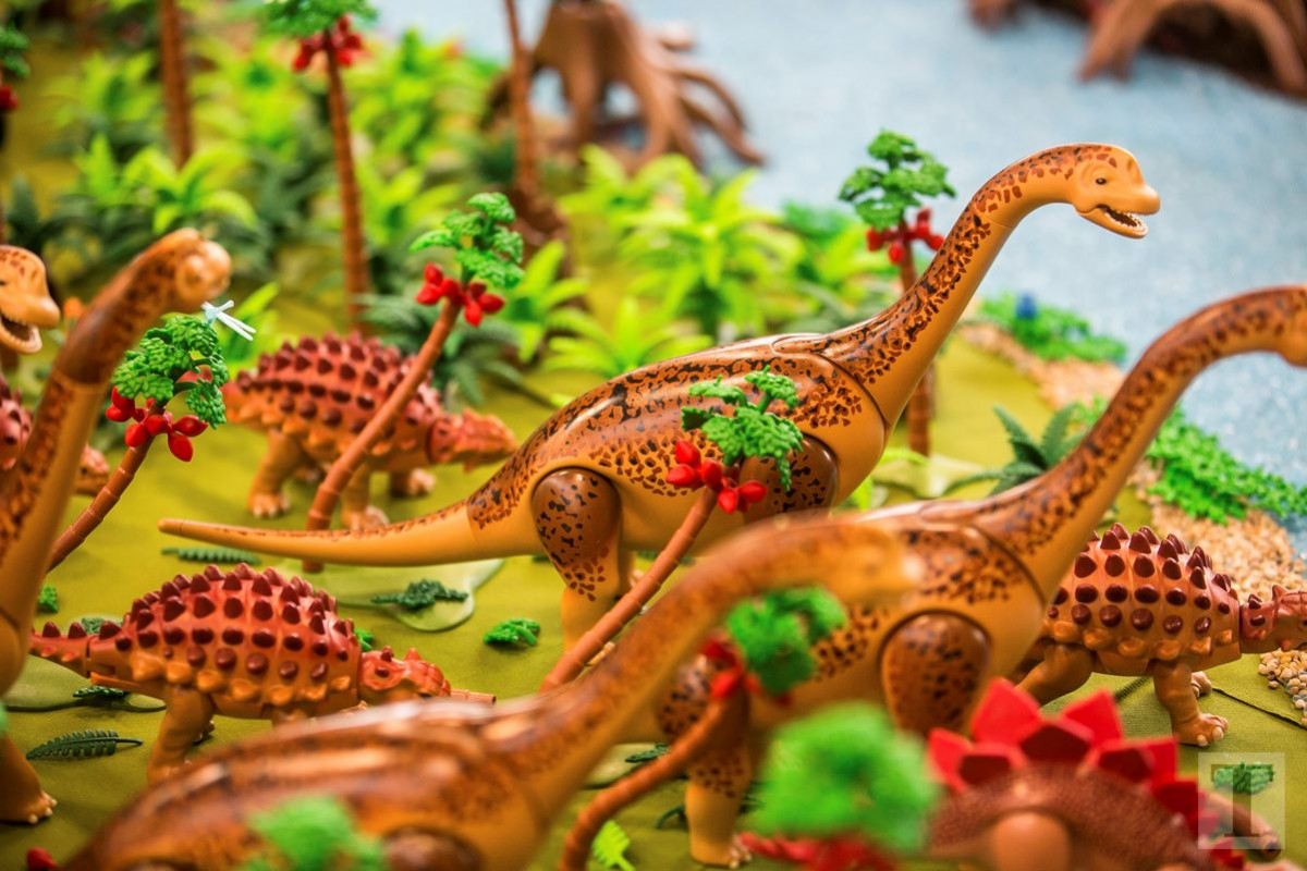 26.08.2018_Editpress_454940