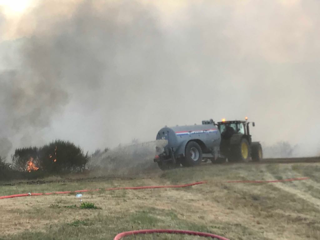 38469413_2010811755630329_2575273209704218624_n