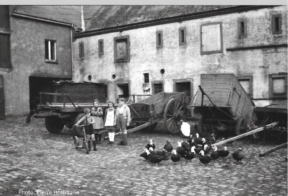 490_0008_14982595_Bauernhoefe_Karelshof_5_jpe