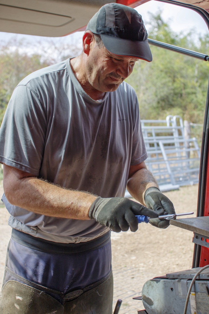 490_0008_14988835_ieselen_69_of_41_