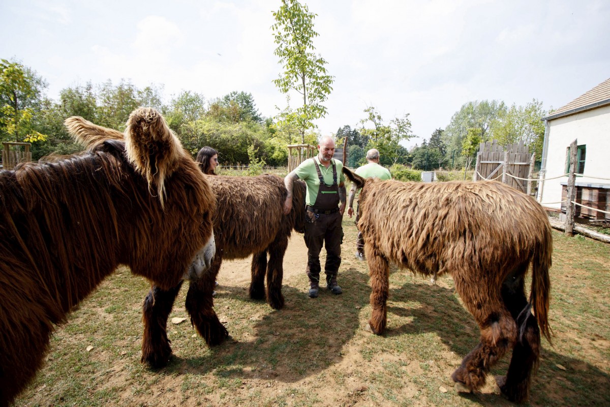 490_0008_14988836_Reportagen_223_of_213_