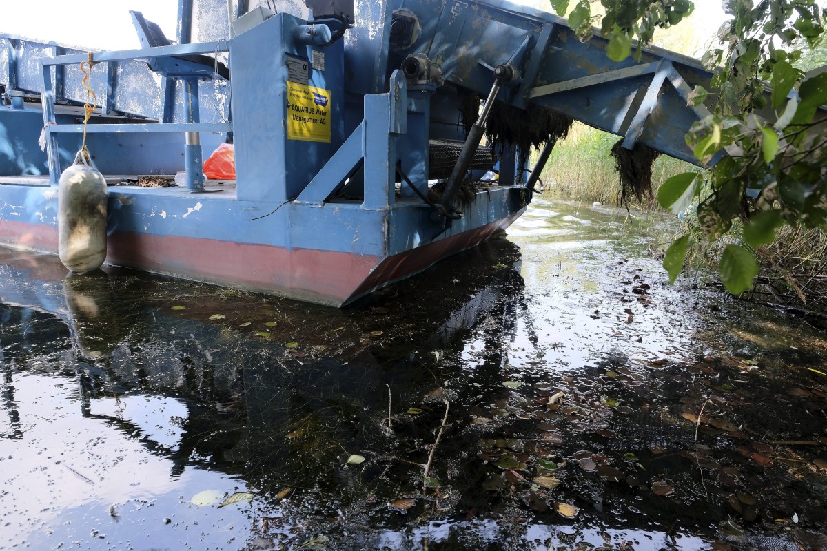Staatsanwalt widerspricht Algen-Theorie im Fall des ertrunkenen Puto G.