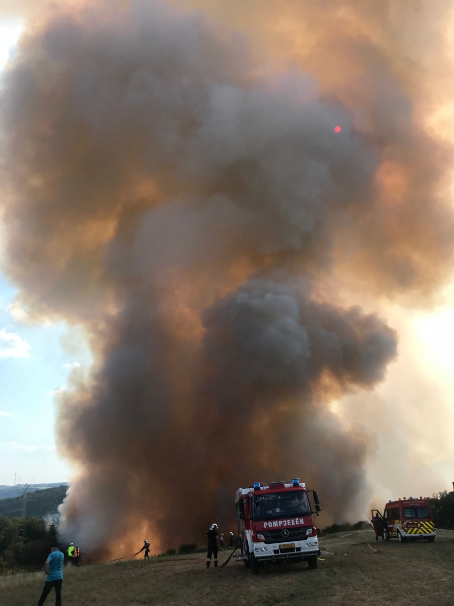 Djr5AFFXsAAjVoT.jpg large