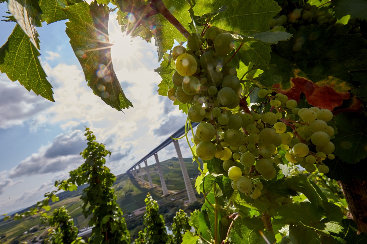 Hochmoselbruecke_58415753urn_binary_dpa_com_20090101_180817-90-008283-FILED