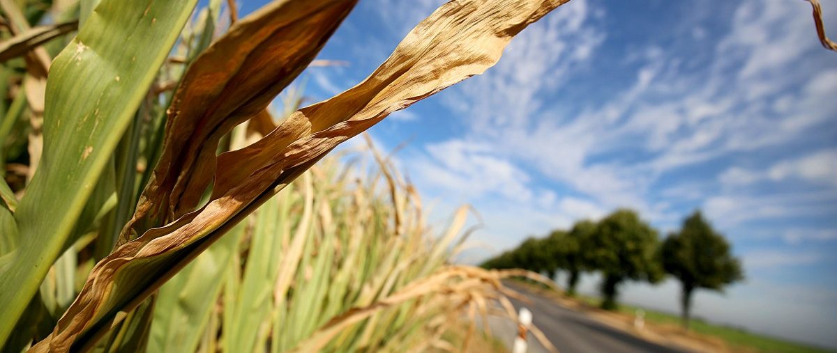 35 Grad – Meteolux warnt vor Bullenhitze in Luxemburg