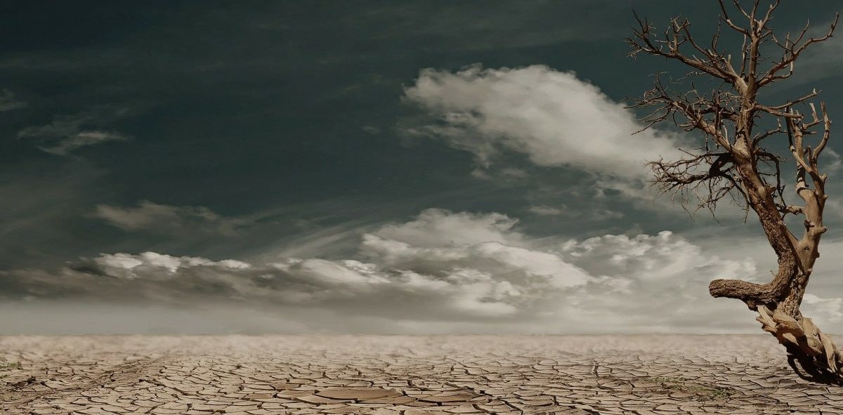 Ab heute lebt die Welt auf Pump