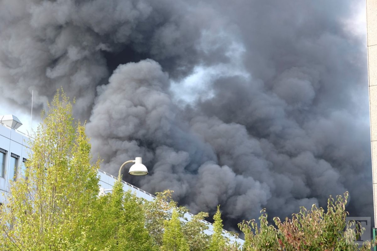 14.09.2018_Editpress_458241