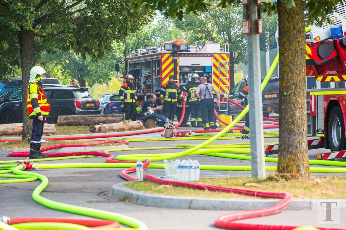 14.09.2018_Editpress_458296