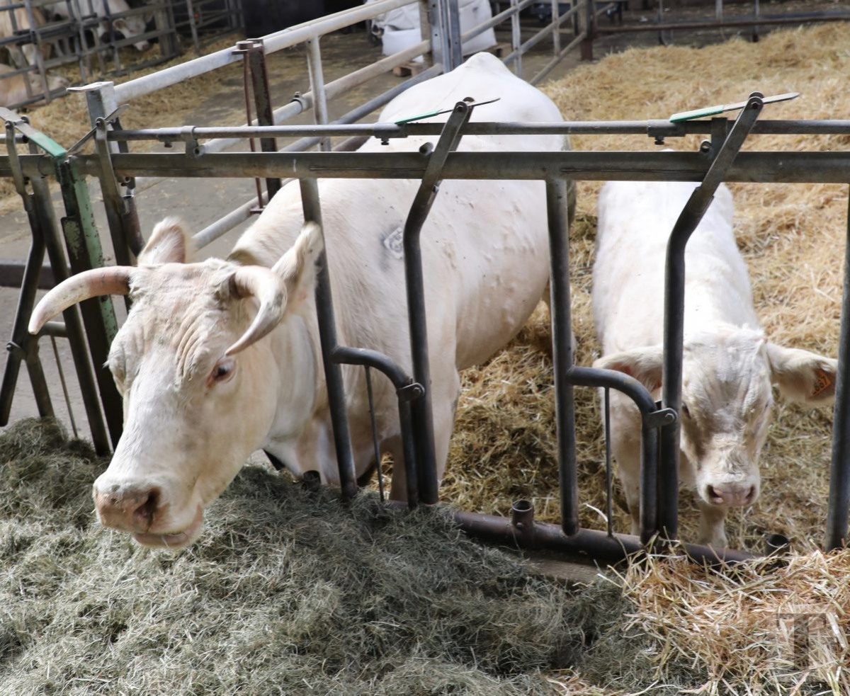 30.09.2018_Editpress_462440