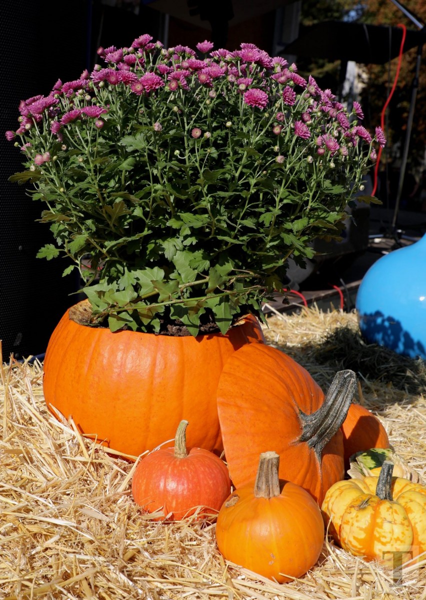 30.09.2018_Editpress_462441