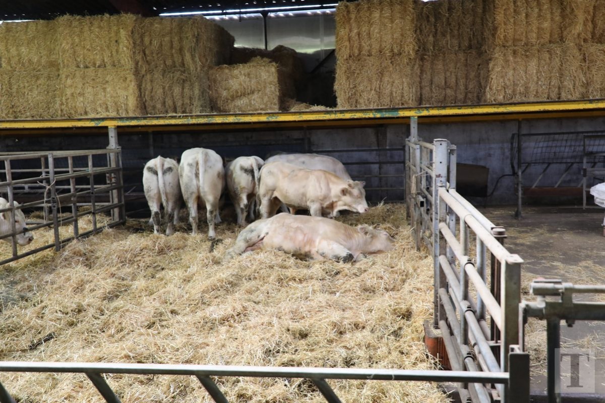 30.09.2018_Editpress_462445