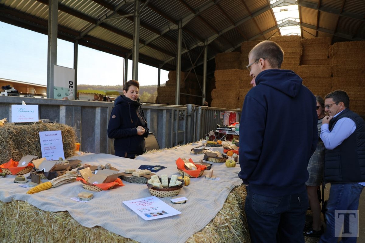 30.09.2018_Editpress_462447