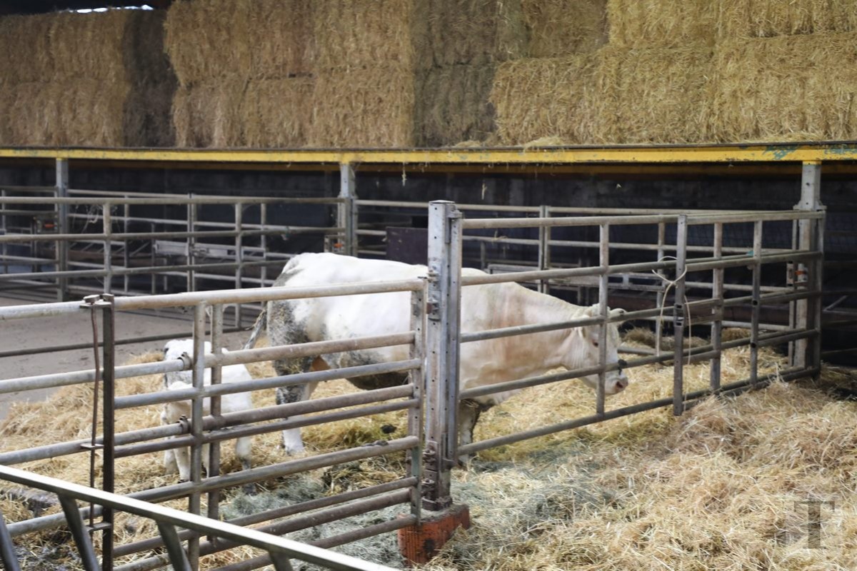 30.09.2018_Editpress_462448