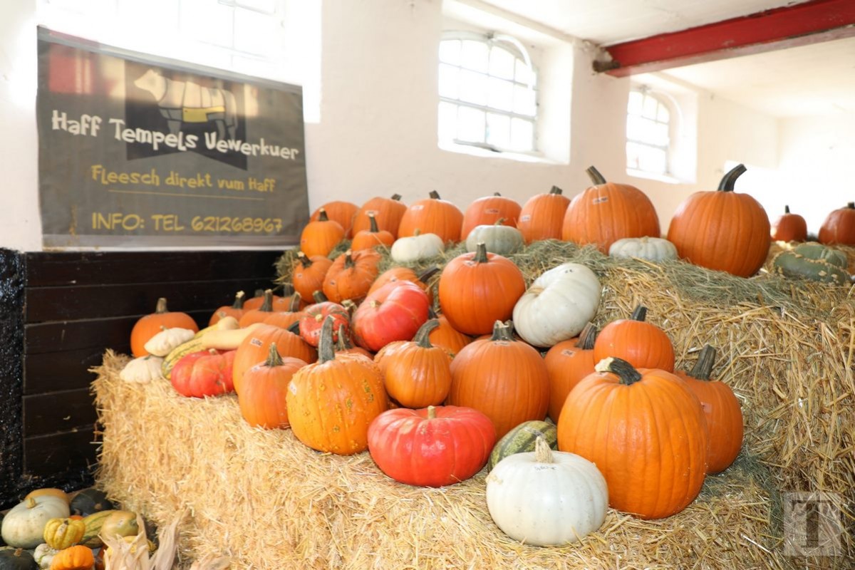 30.09.2018_Editpress_462452