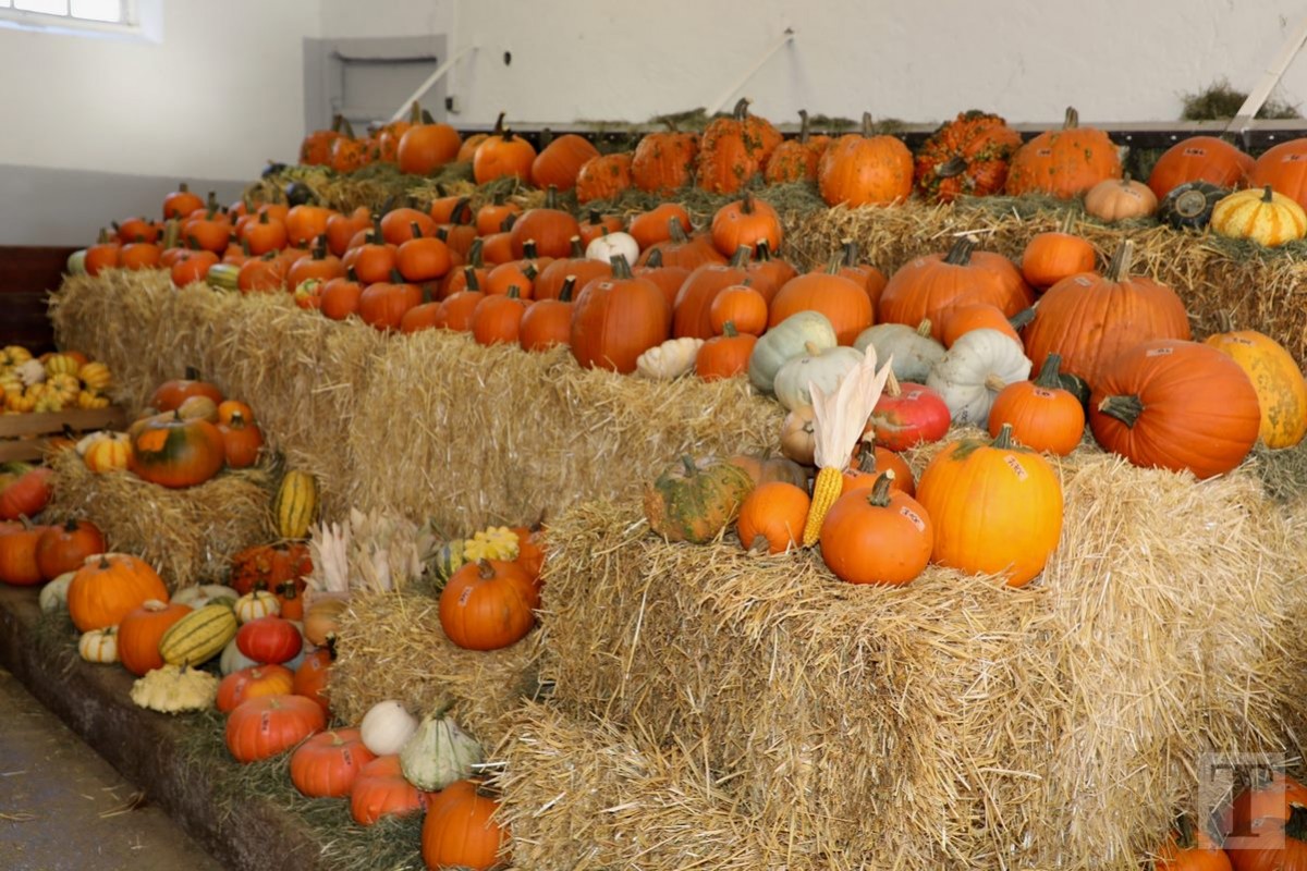 30.09.2018_Editpress_462453